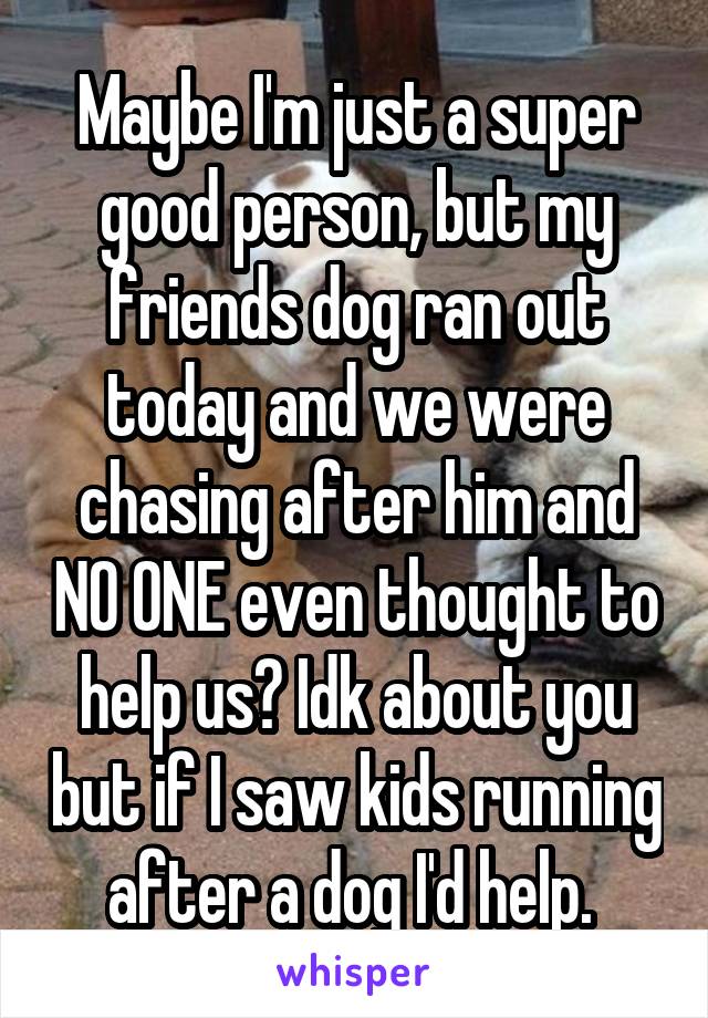 Maybe I'm just a super good person, but my friends dog ran out today and we were chasing after him and NO ONE even thought to help us? Idk about you but if I saw kids running after a dog I'd help. 