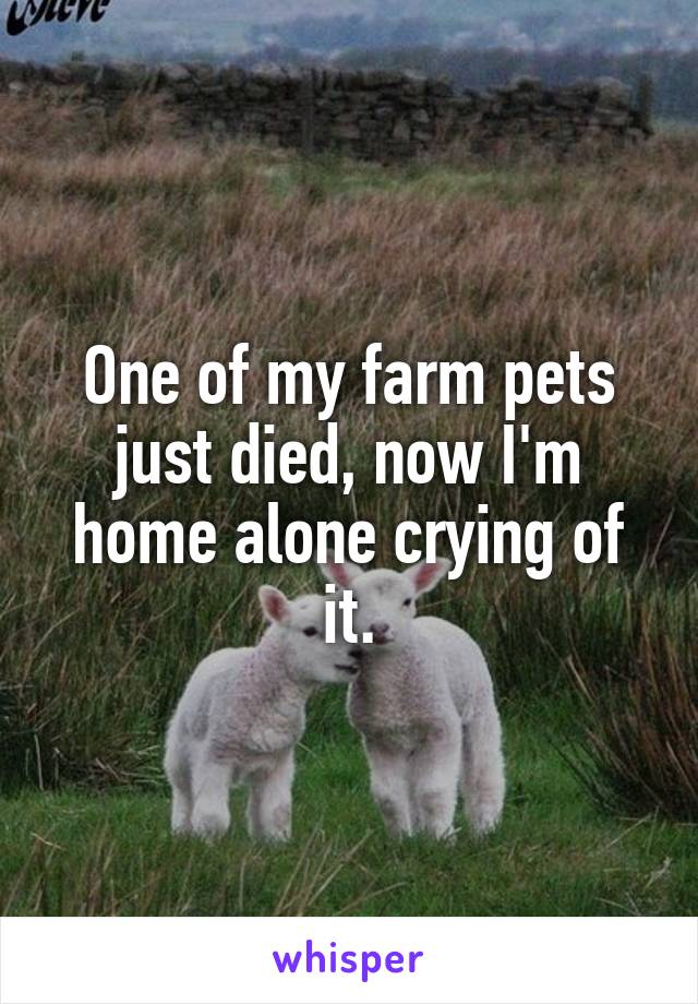 One of my farm pets just died, now I'm home alone crying of it.