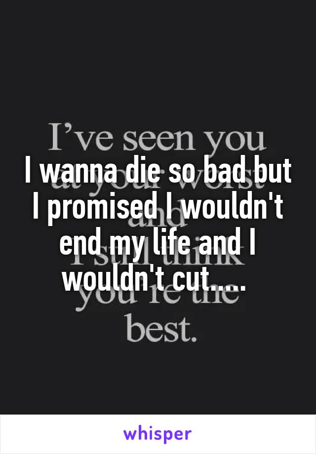 I wanna die so bad but I promised I wouldn't end my life and I wouldn't cut..... 