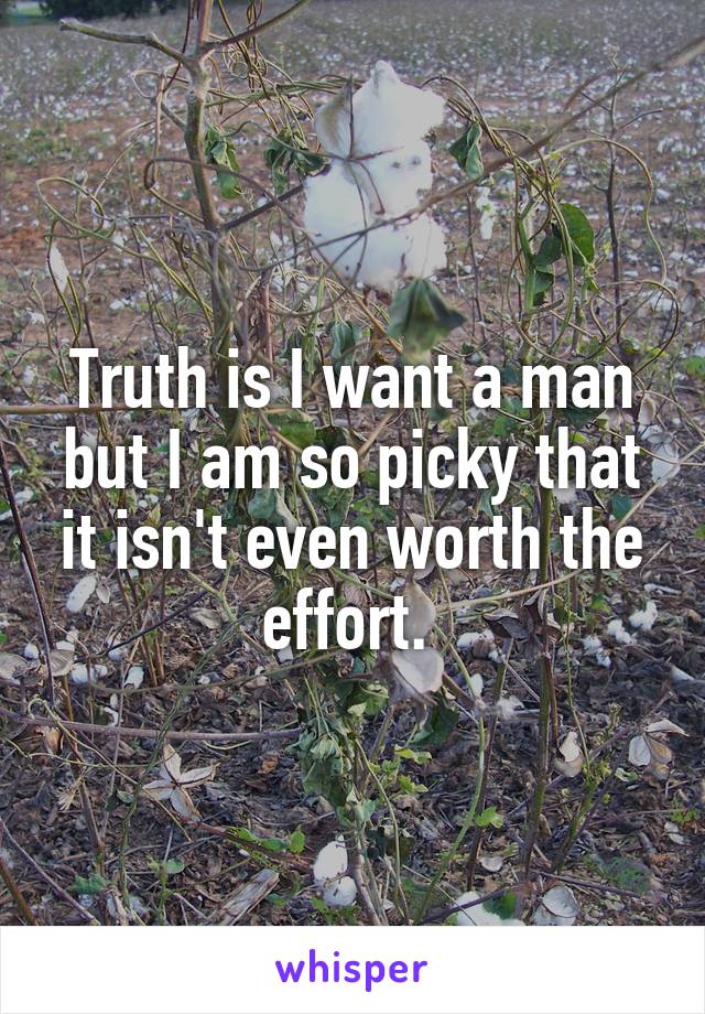 Truth is I want a man but I am so picky that it isn't even worth the effort. 