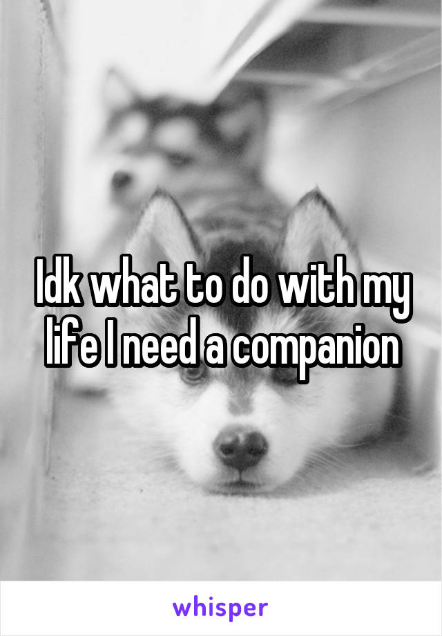 Idk what to do with my life I need a companion