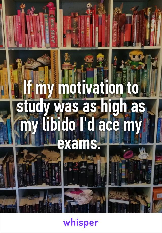 If my motivation to study was as high as my libido I'd ace my exams. 