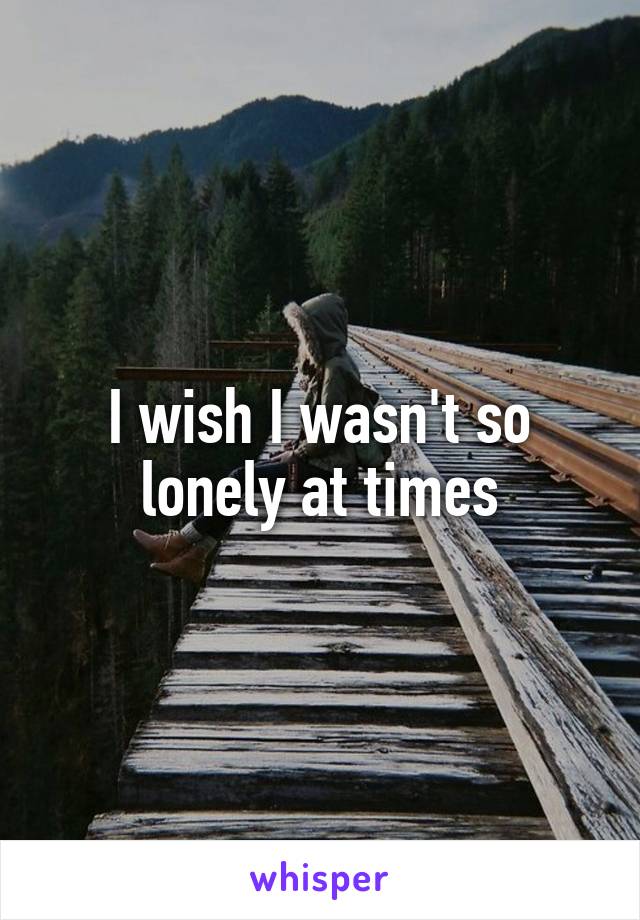 I wish I wasn't so lonely at times