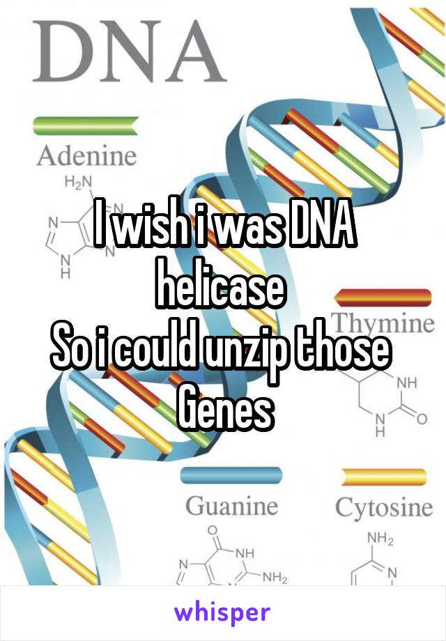 I wish i was DNA helicase 
So i could unzip those 
Genes