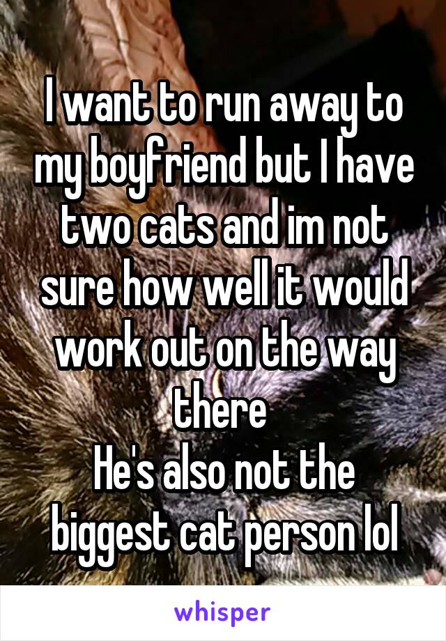 I want to run away to my boyfriend but I have two cats and im not sure how well it would work out on the way there 
He's also not the biggest cat person lol