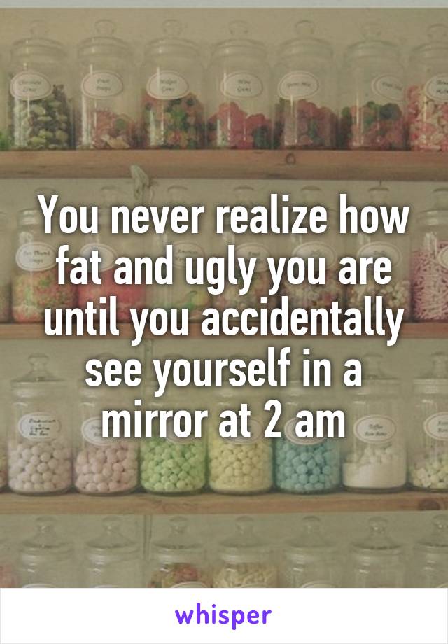 You never realize how fat and ugly you are until you accidentally see yourself in a mirror at 2 am