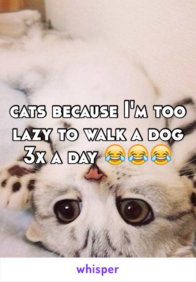 cats because I'm too lazy to walk a dog 3x a day 😂😂😂