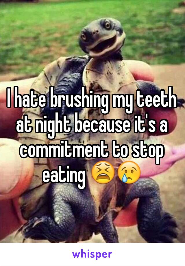 I hate brushing my teeth at night because it's a commitment to stop eating 😫😢