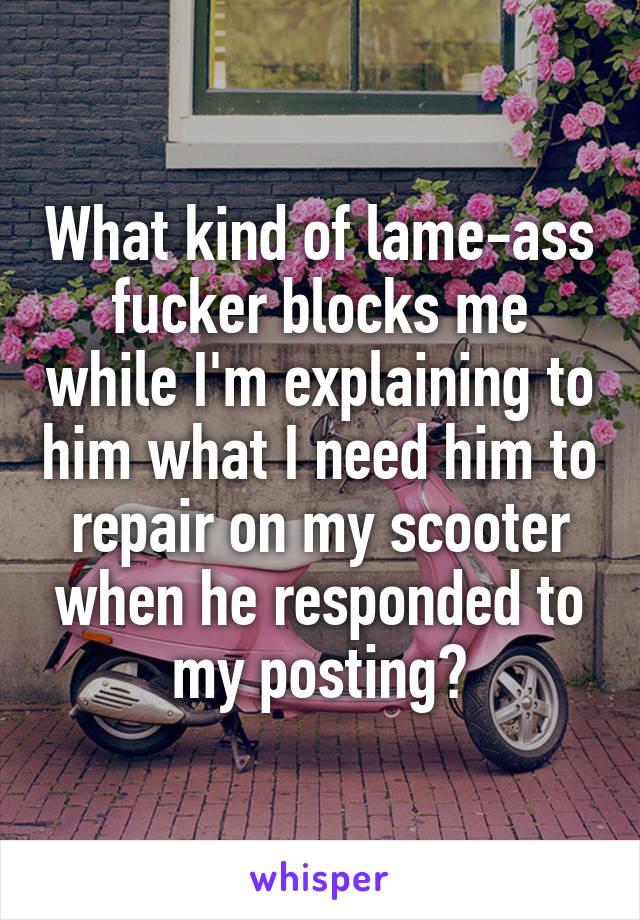 What kind of lame-ass fucker blocks me while I'm explaining to him what I need him to repair on my scooter when he responded to my posting?