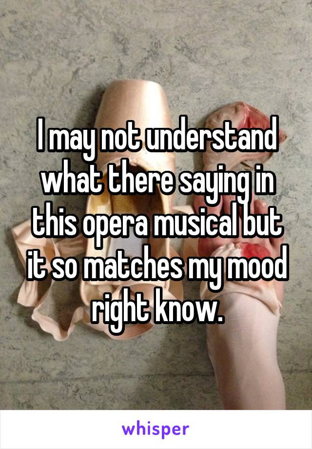 I may not understand what there saying in this opera musical but it so matches my mood right know.