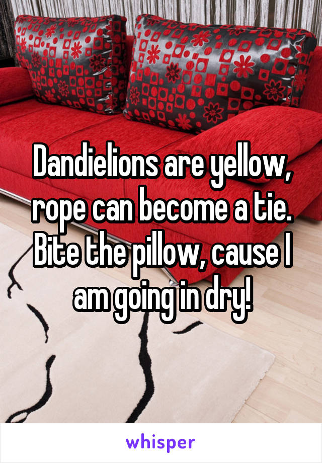 Dandielions are yellow, rope can become a tie. Bite the pillow, cause I am going in dry!