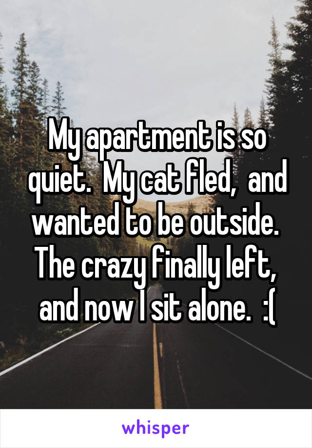 My apartment is so quiet.  My cat fled,  and wanted to be outside.  The crazy finally left,  and now I sit alone.  :(