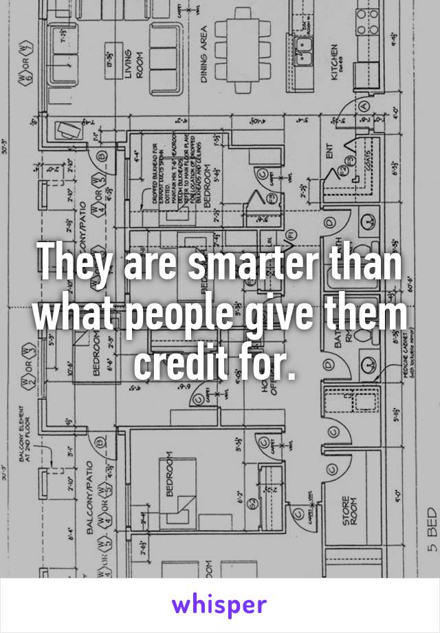 They are smarter than what people give them credit for. 