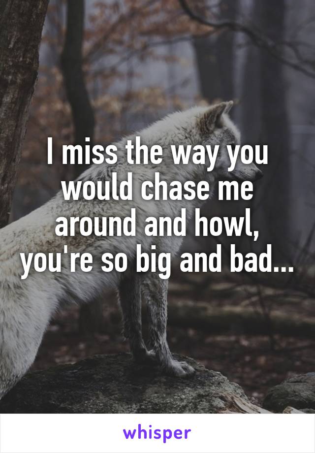 I miss the way you would chase me around and howl, you're so big and bad... 