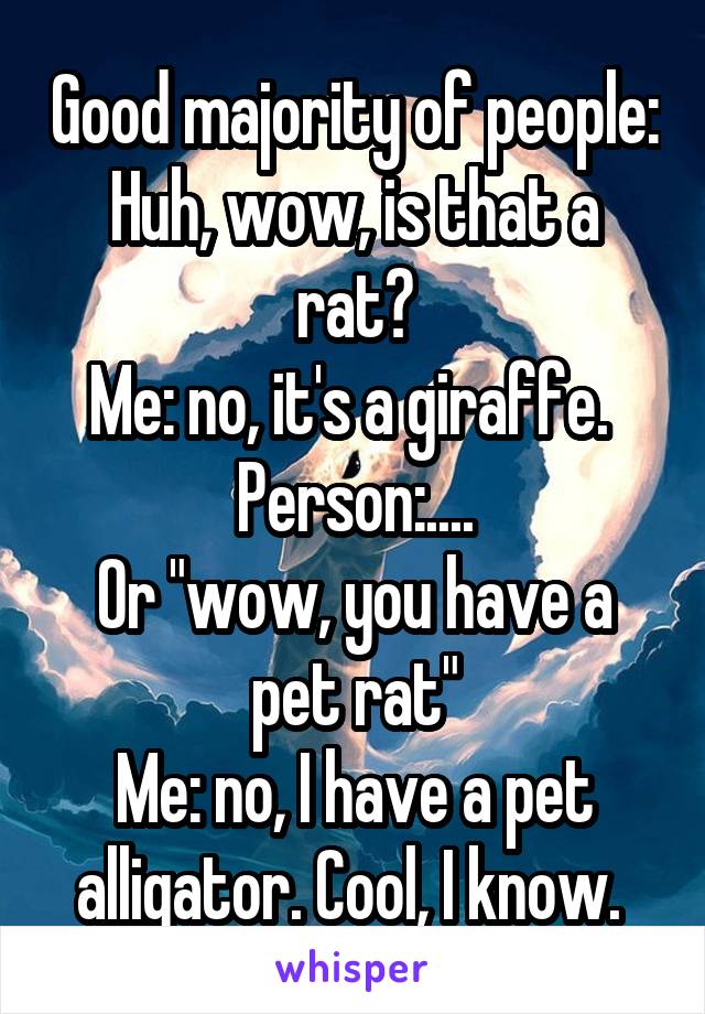 Good majority of people: Huh, wow, is that a rat?
Me: no, it's a giraffe. 
Person:....
Or "wow, you have a pet rat"
Me: no, I have a pet alligator. Cool, I know. 