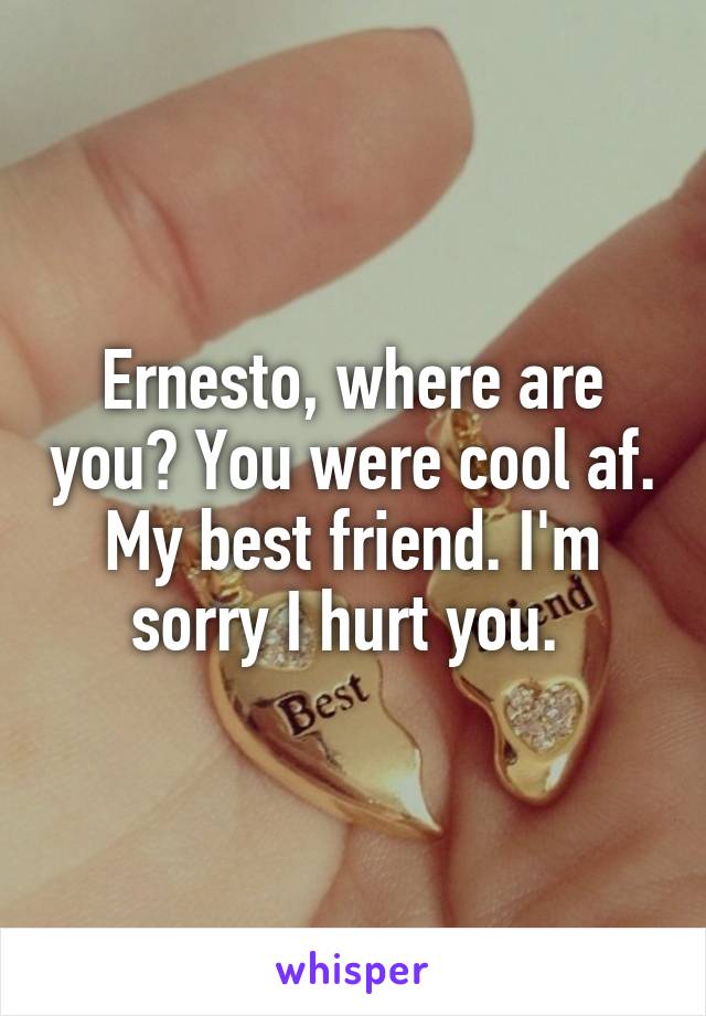 Ernesto, where are you? You were cool af. My best friend. I'm sorry I hurt you. 