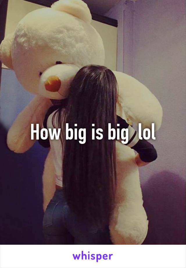 How big is big  lol