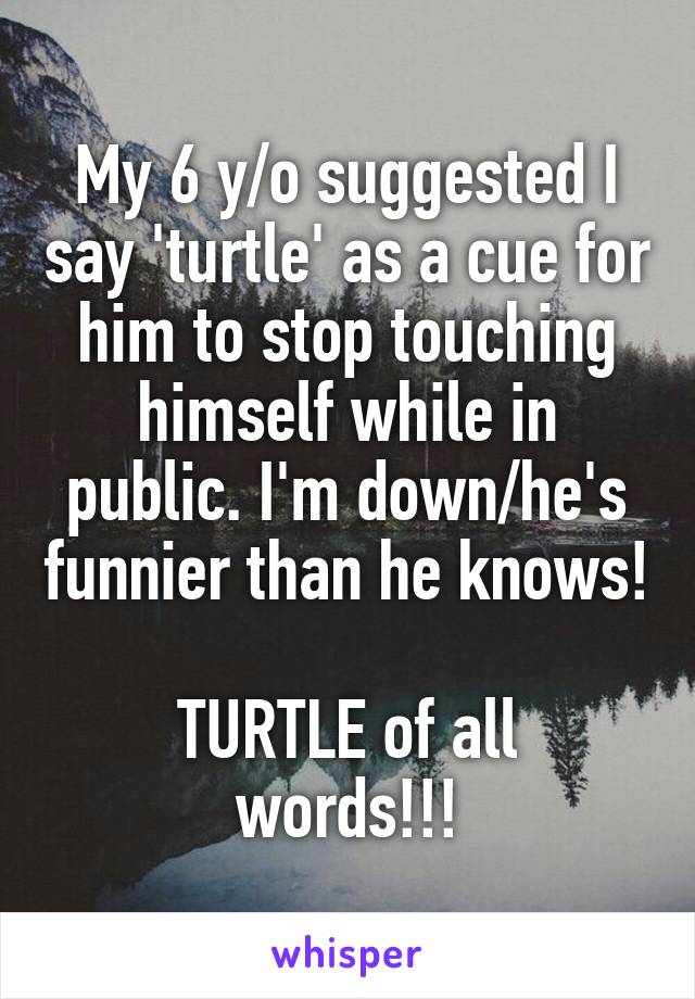 My 6 y/o suggested I say 'turtle' as a cue for him to stop touching himself while in public. I'm down/he's funnier than he knows! 
TURTLE of all words!!!