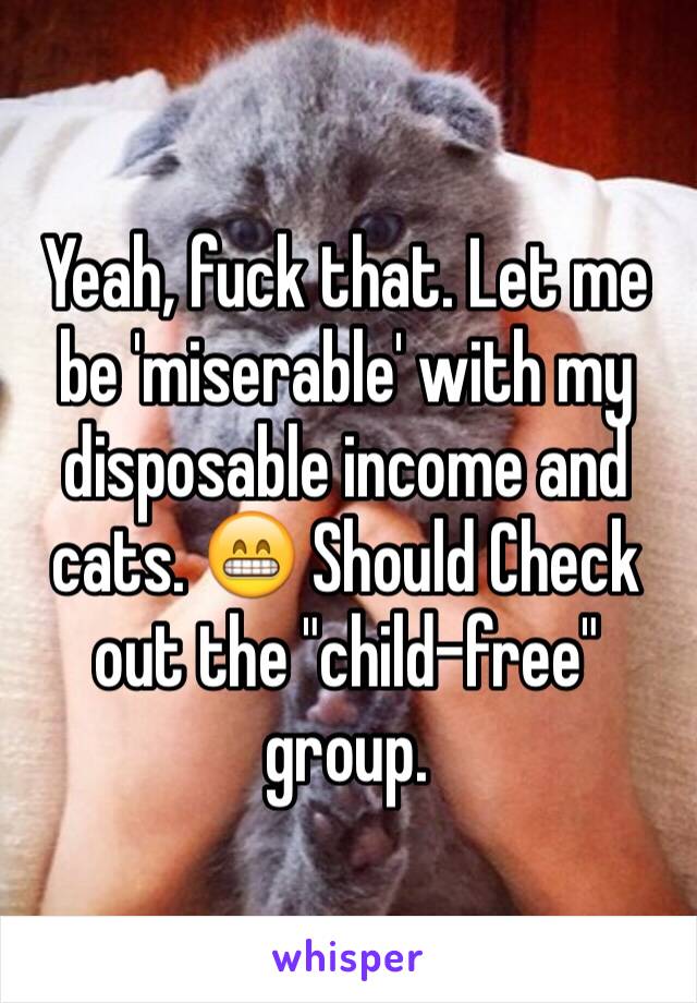 Yeah, fuck that. Let me be 'miserable' with my disposable income and cats. 😁 Should Check out the "child-free" group.