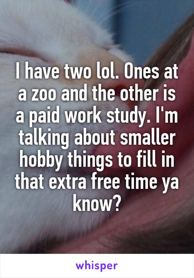 I have two lol. Ones at a zoo and the other is a paid work study. I'm talking about smaller hobby things to fill in that extra free time ya know?