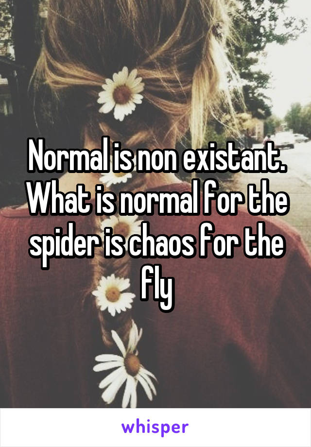 Normal is non existant. What is normal for the spider is chaos for the fly