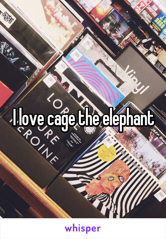 I love cage the elephant