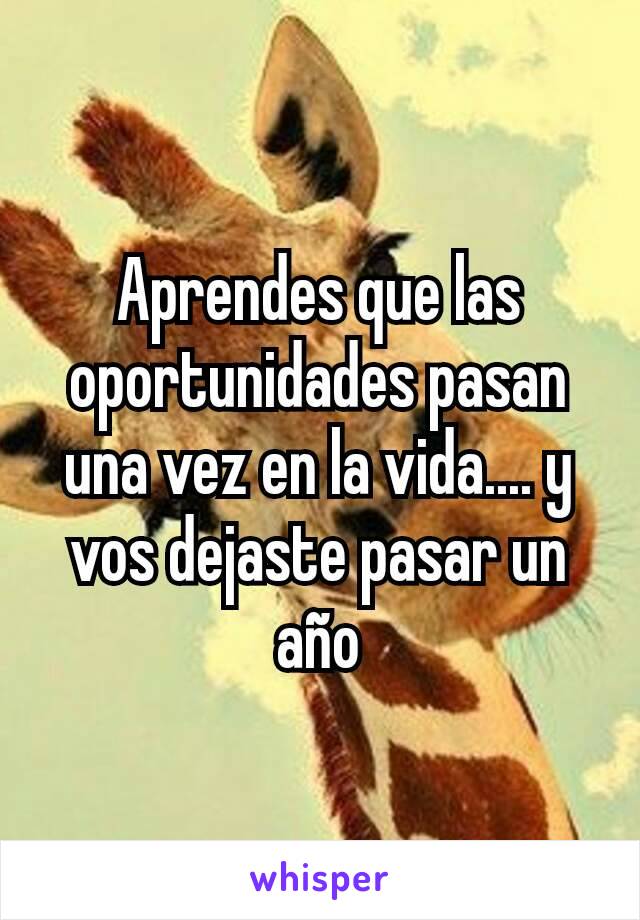 Aprendes que las oportunidades pasan una vez en la vida.... y vos dejaste pasar un año