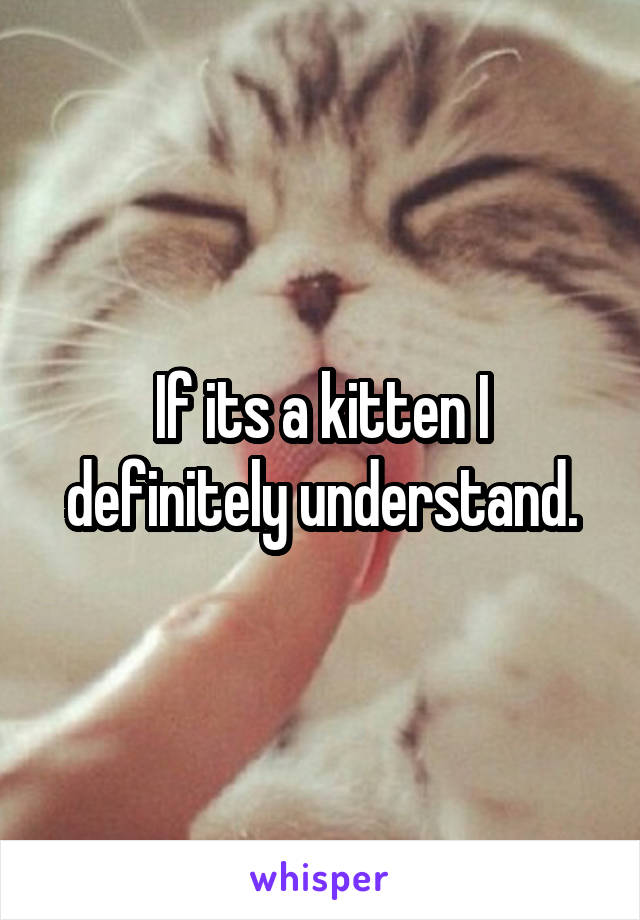 If its a kitten I definitely understand.