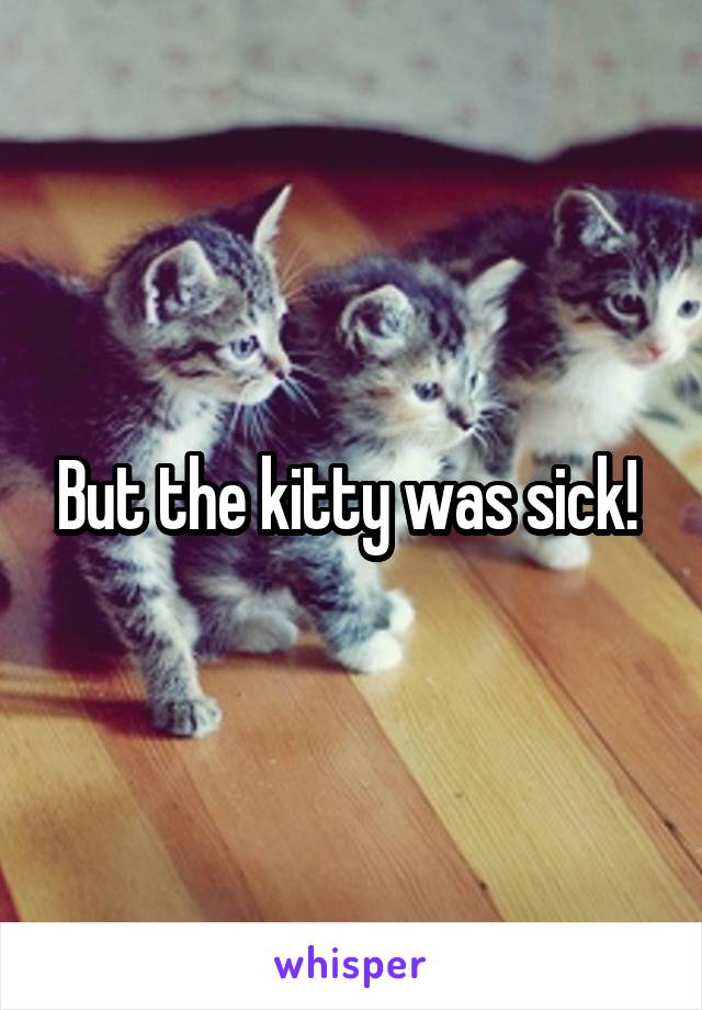 But the kitty was sick! 