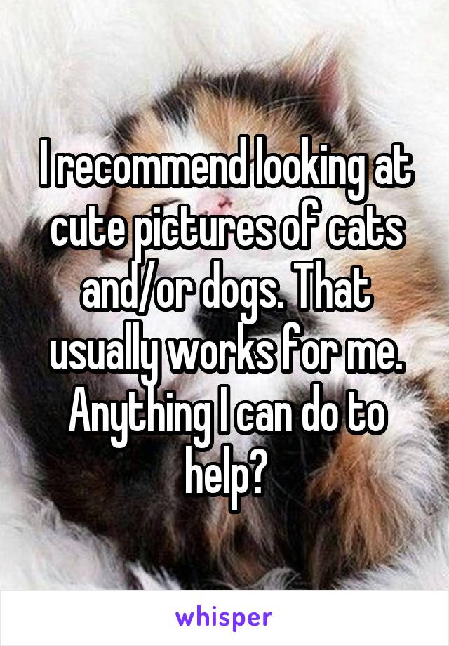 I recommend looking at cute pictures of cats and/or dogs. That usually works for me. Anything I can do to help?