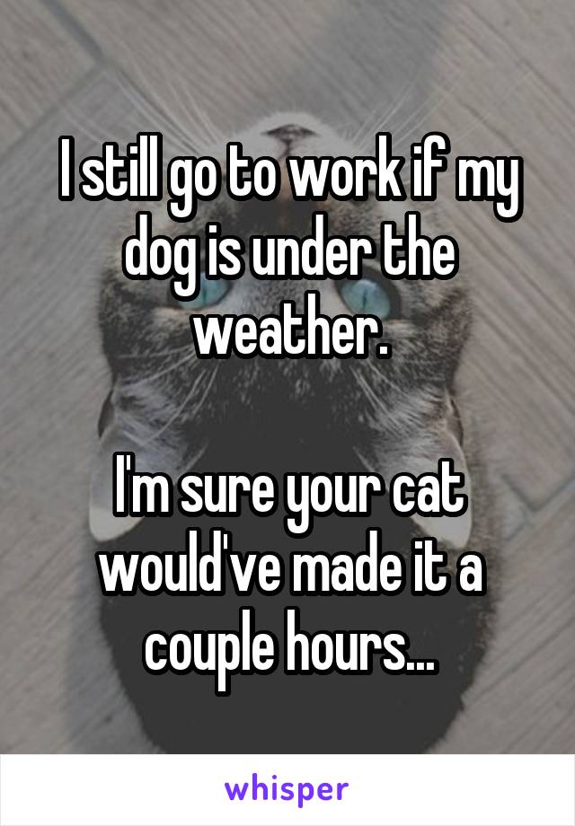 I still go to work if my dog is under the weather.

I'm sure your cat would've made it a couple hours...