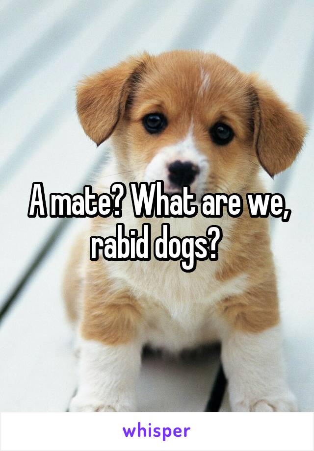 A mate? What are we, rabid dogs? 