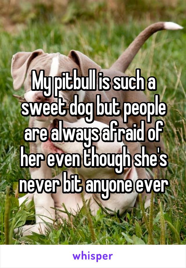 My pitbull is such a sweet dog but people are always afraid of her even though she's never bit anyone ever