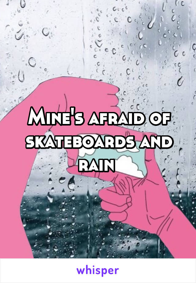 Mine's afraid of skateboards and rain 