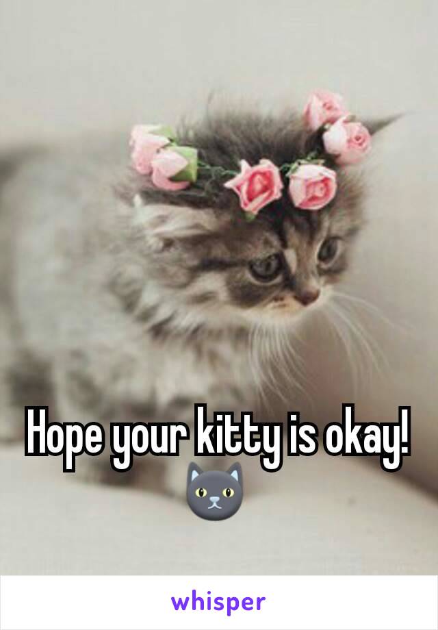 Hope your kitty is okay! 🐱 