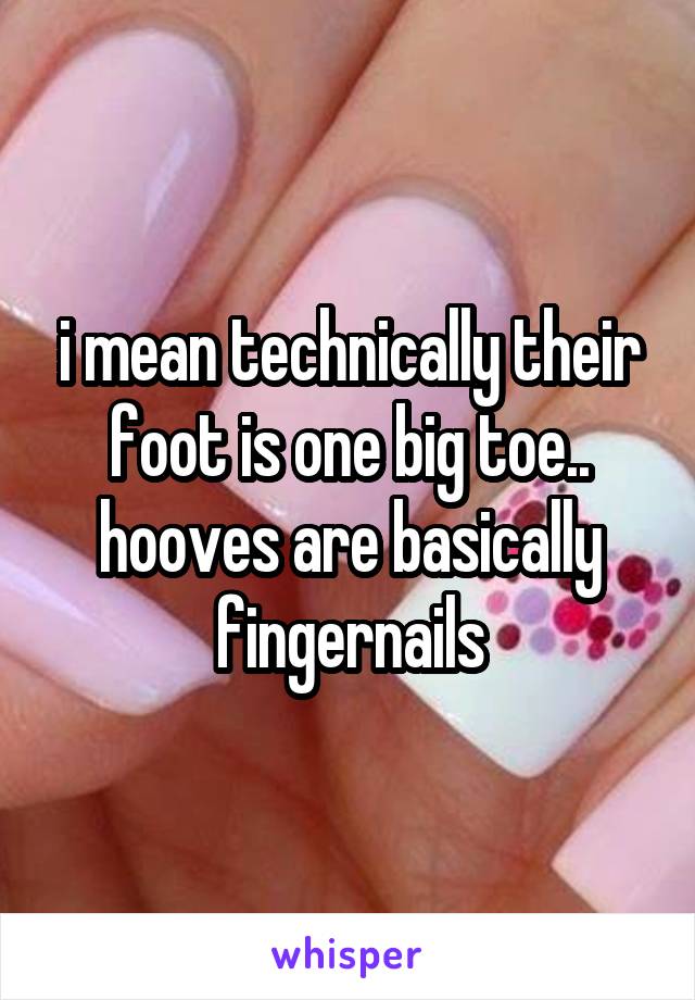 i mean technically their foot is one big toe.. hooves are basically fingernails