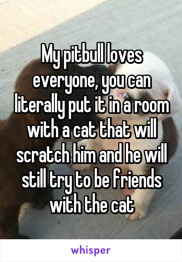 My pitbull loves everyone, you can literally put it in a room with a cat that will scratch him and he will still try to be friends with the cat