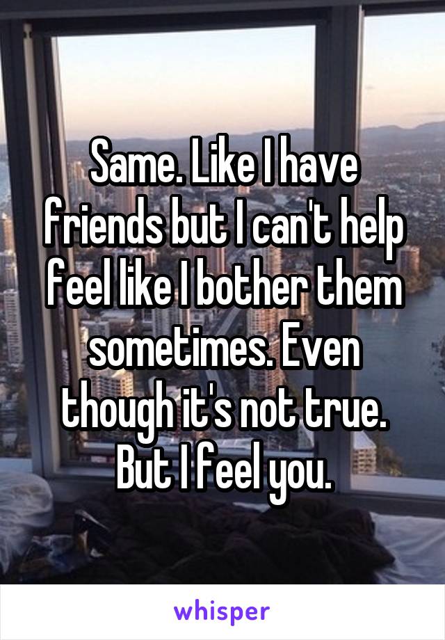 Same. Like I have friends but I can't help feel like I bother them sometimes. Even though it's not true. But I feel you.