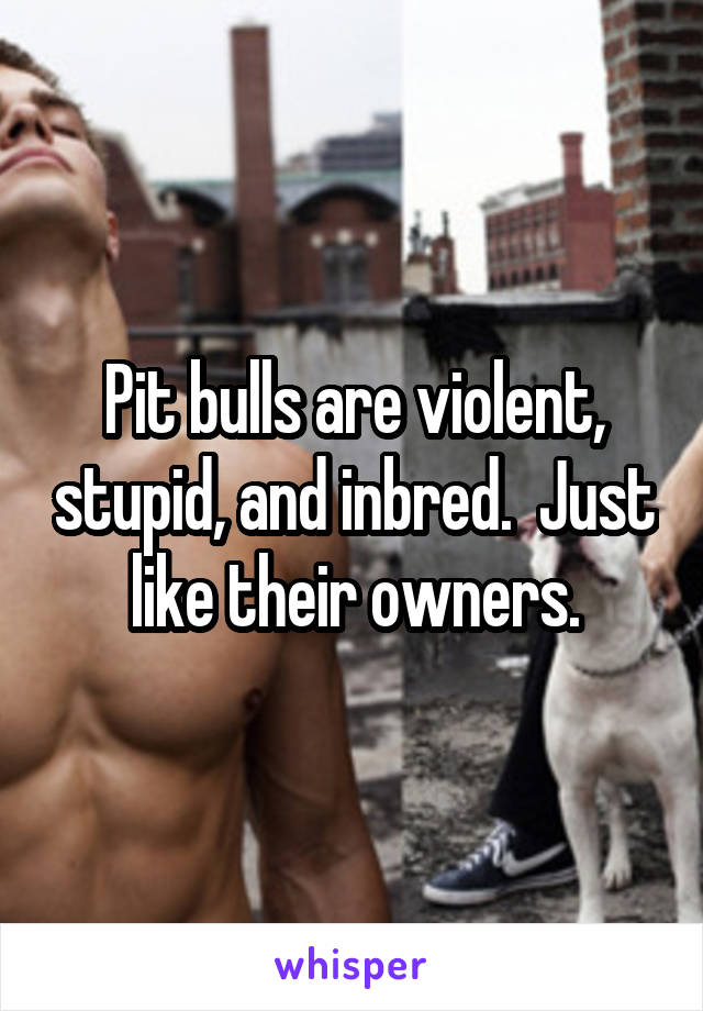 Pit bulls are violent, stupid, and inbred.  Just like their owners.