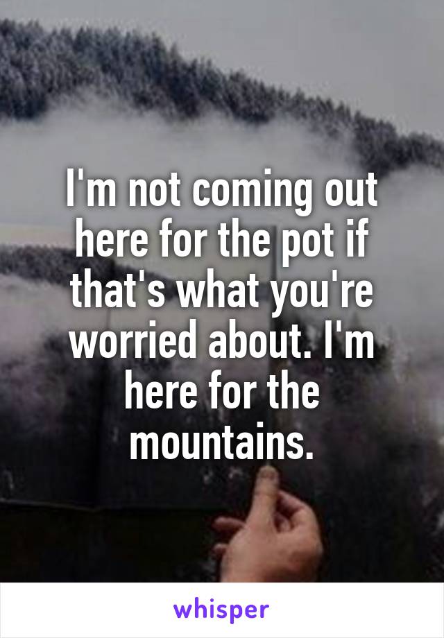 I'm not coming out here for the pot if that's what you're worried about. I'm here for the mountains.