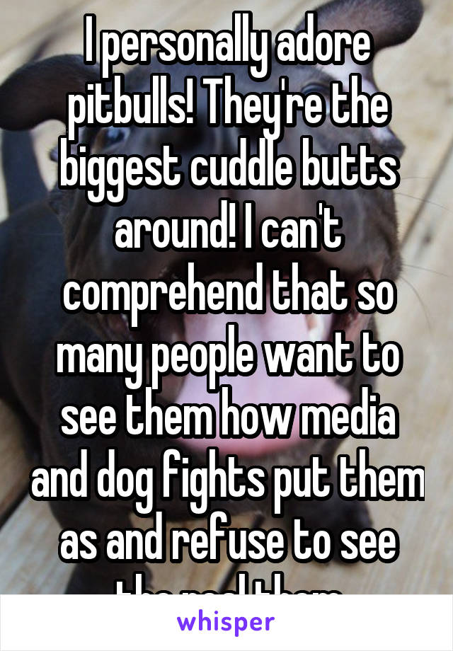 I personally adore pitbulls! They're the biggest cuddle butts around! I can't comprehend that so many people want to see them how media and dog fights put them as and refuse to see the real them