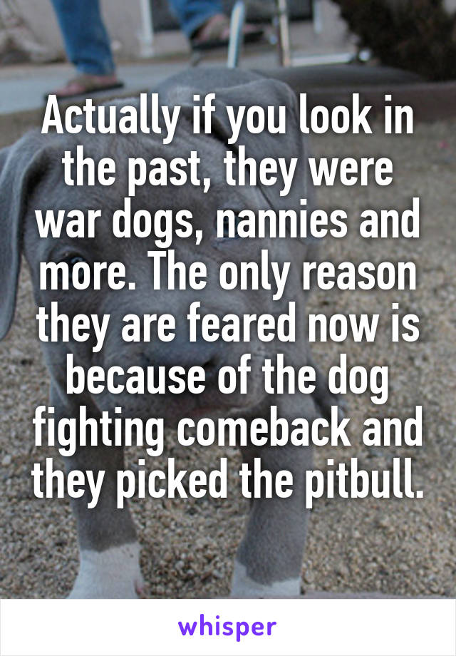 Actually if you look in the past, they were war dogs, nannies and more. The only reason they are feared now is because of the dog fighting comeback and they picked the pitbull. 