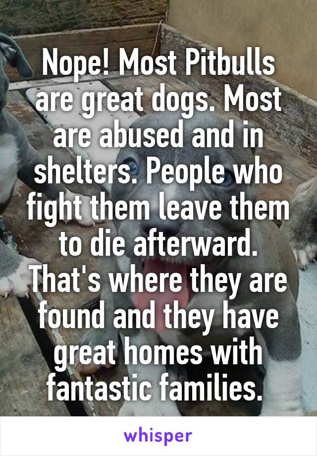 Nope! Most Pitbulls are great dogs. Most are abused and in shelters. People who fight them leave them to die afterward. That's where they are found and they have great homes with fantastic families. 