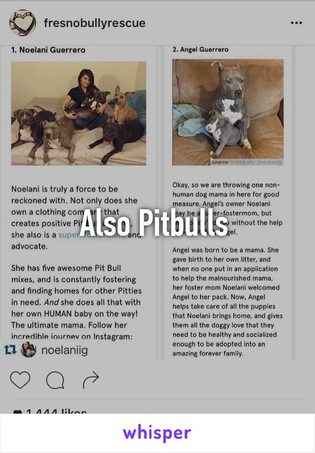 Also Pitbulls 