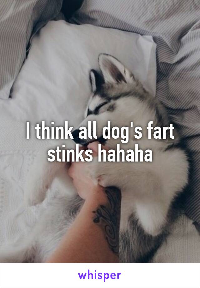 I think all dog's fart stinks hahaha