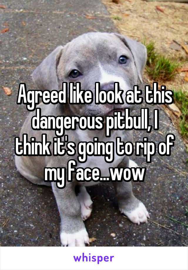 Agreed like look at this dangerous pitbull, I think it's going to rip of my face...wow