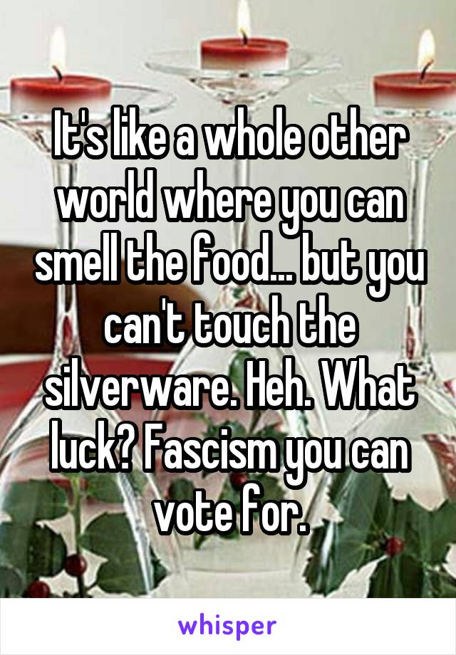 It's like a whole other world where you can smell the food... but you can't touch the silverware. Heh. What luck? Fascism you can vote for.