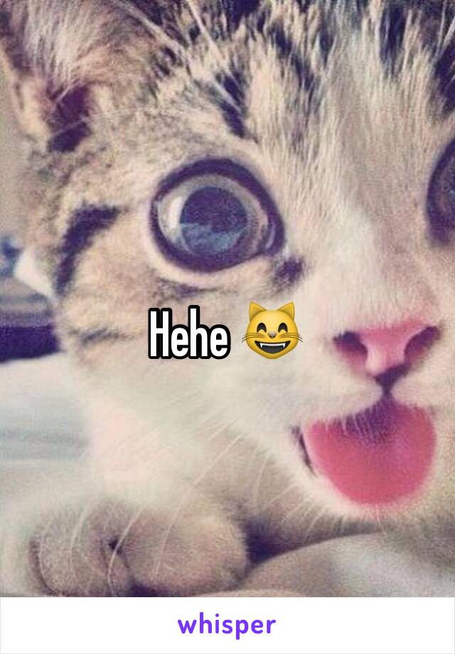 Hehe 😸