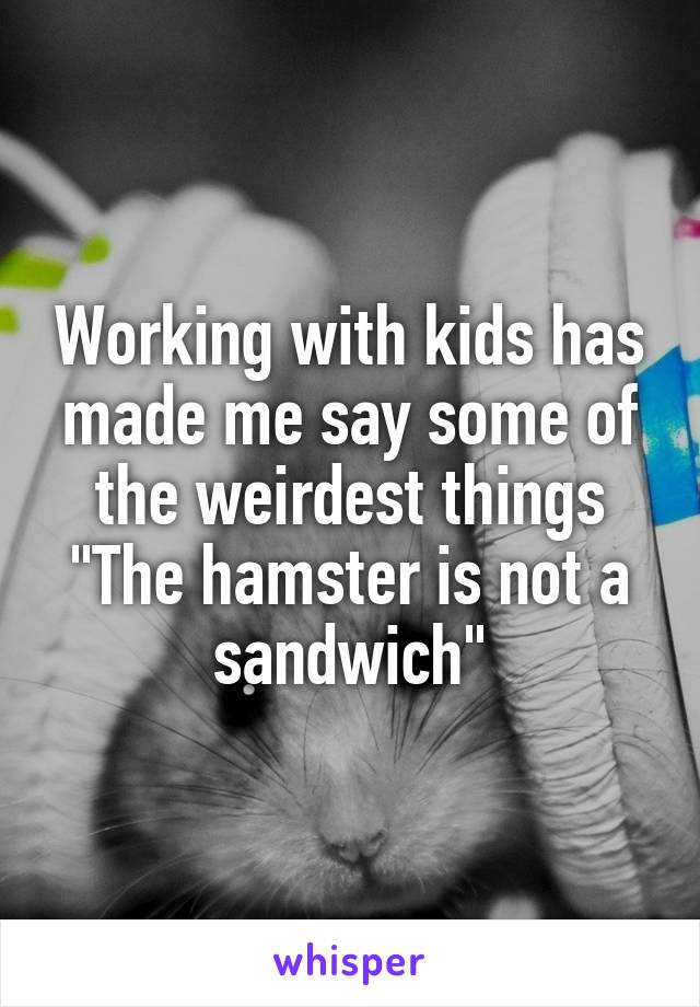 Working with kids has made me say some of the weirdest things
"The hamster is not a sandwich"