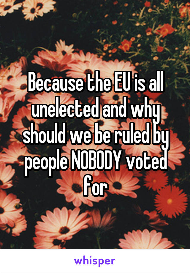 Because the EU is all unelected and why should we be ruled by people NOBODY voted for